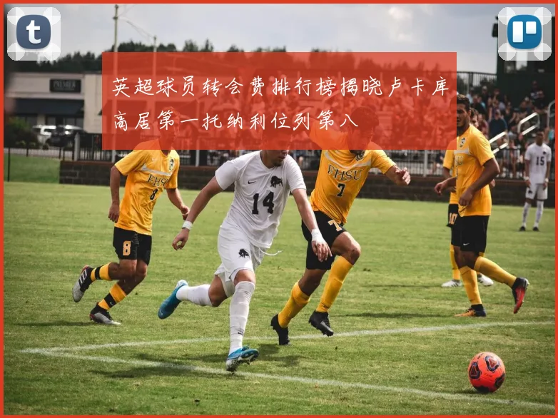 英超球员转会费排行榜揭晓卢卡库高居第一托纳利位列第八